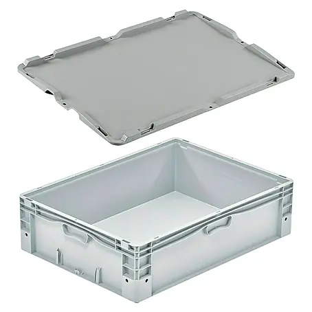 Surplus Systems  Caja de almacenaje Eurobox