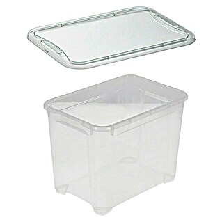 Regalux Caja de almacenaje (L x An x Al: 37,6 x 26 x 28,3 cm, Capacidad volumétrica: 20 l, Plástico)