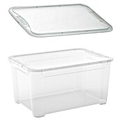 Regalux Caja de almacenaje (L x An x Al: 54,8 x 38,4 x 28,3 cm, Capacidad volumétrica: 47 l, Plástico) | BAUHAUS