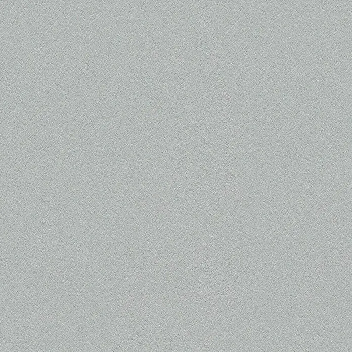 A.S. Création Vliestapete Glatte Wand Meistervlies 5 - Grau, Uni, 10,05 x 0,53 m - Graue, strukturierte Oberfläche, ideal als Hintergrund oder Textur für minimalistische Designs und vielseitige Anwendungen.