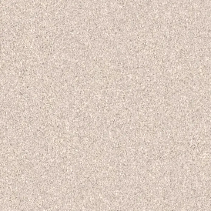 A.S. Création Vliestapete Glatte Wand Meistervlies 5 - Cappuccino, Uni, 10,05 x 0,53 m - Zartrosa Textur mit einer feinen, körnigen Oberfläche, ideal als Hintergrund für dezente und elegante Designs.
