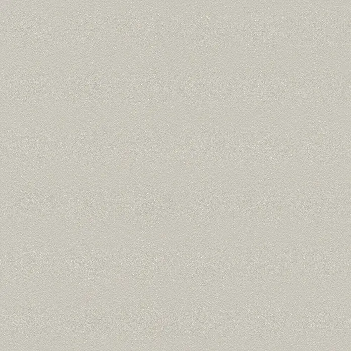 Rasch Vliestapete Flitter - Greige, Uni, 10,05 x 0,53 m - Heller, glatter Hintergrund mit feiner Textur. Ideal für minimalistische Designs oder als neutrale Basis für Grafiken und Texte.