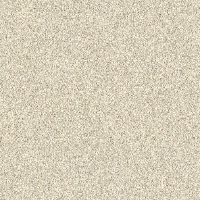 A.S. Création Trendwall Vliestapete II - Beige, Uni, 10,05 x 0,53 m - Beige Oberfläche mit leichter Textur, ideal für Hintergründe und Designprojekte. Die dezente Struktur verleiht Tiefe.