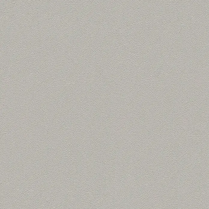 A.S. Création Trendwall Vliestapete II - Hellgrau, Uni, 10,05 x 0,53 m - Detailaufnahme einer hellgrauen Oberfläche mit feiner, homogener Textur, ideal als neutraler Hintergrund oder zur Darstellung von Materialbeschaffenheit.