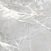 Halcón Porculanska pločica Fame Grey Satin  (60 x 60 cm, Siva, Svilenkasti mat) | BAUHAUS