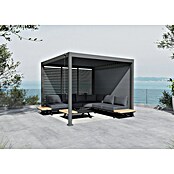Sunfun Milos Panel lateral (An x Al: 276 x 217 cm, Antracita, Para pérgola con laterales Milos, Profundidad: 8,5 cm) | BAUHAUS