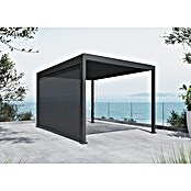 Sunfun Milos Panel lateral (An x Al: 368 x 217 cm, Antracita, Para pérgola con laterales Milos, Profundidad: 8,5 cm) | BAUHAUS