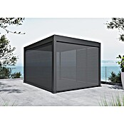 Sunfun Milos Panel lateral (An x Al: 368 x 217 cm, Antracita, Para pérgola con laterales Milos, Profundidad: 8,5 cm) | BAUHAUS