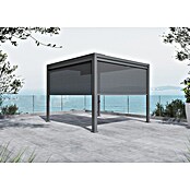 Sunfun Milos Panel lateral (An x Al: 276 x 217 cm, Antracita, Para pérgola con laterales Milos, Profundidad: 8,5 cm) | BAUHAUS