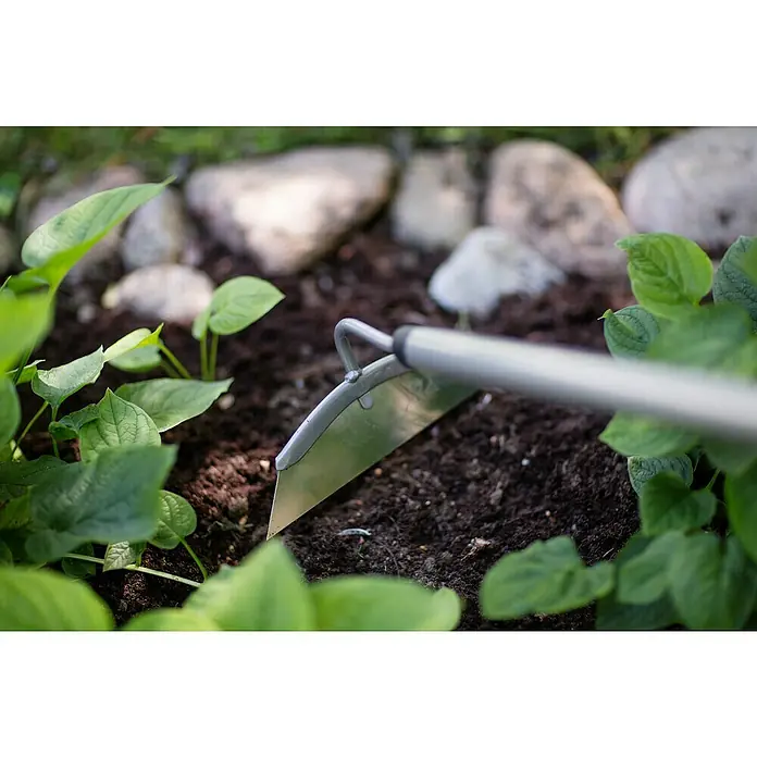 Fiskars Ergonomic Unkrauthacke - Länge: 154 cm, Material Gerätekopf: Borstahl - Nahaufnahme einer Gartenhacke, die in die Erde gesteckt wird, um das Beet zu bearbeiten, umgeben von grünen Pflanzen und Steinen.