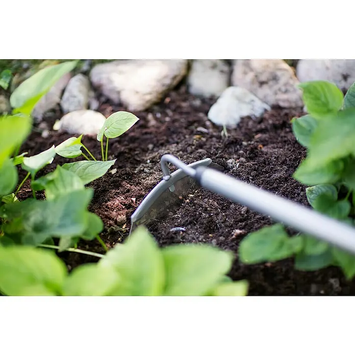 Fiskars Ergonomic Unkrauthacke - Länge: 154 cm, Material Gerätekopf: Borstahl - Nahaufnahme einer Gartenhacke, die in dunkler, feuchter Erde arbeitet, umgeben von grünen Pflanzen und Steinen.