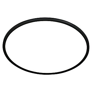 Ledpaneel, rond met backlight Zwart (Ø x h: 480 x 30 mm, Neutraal wit)