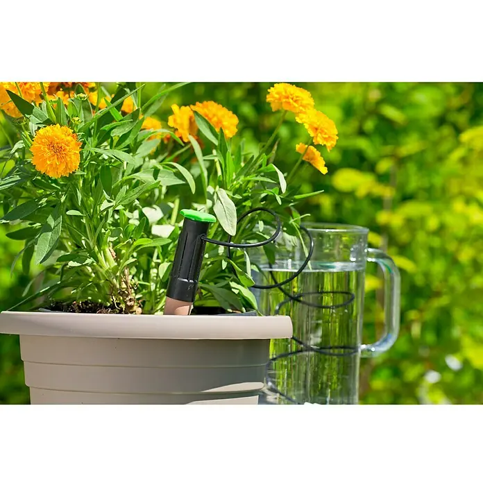 Gardol Wasserspender - 3 Stk. - Nahaufnahme einer Zimmerpflanze in einem Topf mit einer automatischen Bewässerungsvorrichtung und einem Glas Wasser, das die Pflanze mit Feuchtigkeit versorgt.