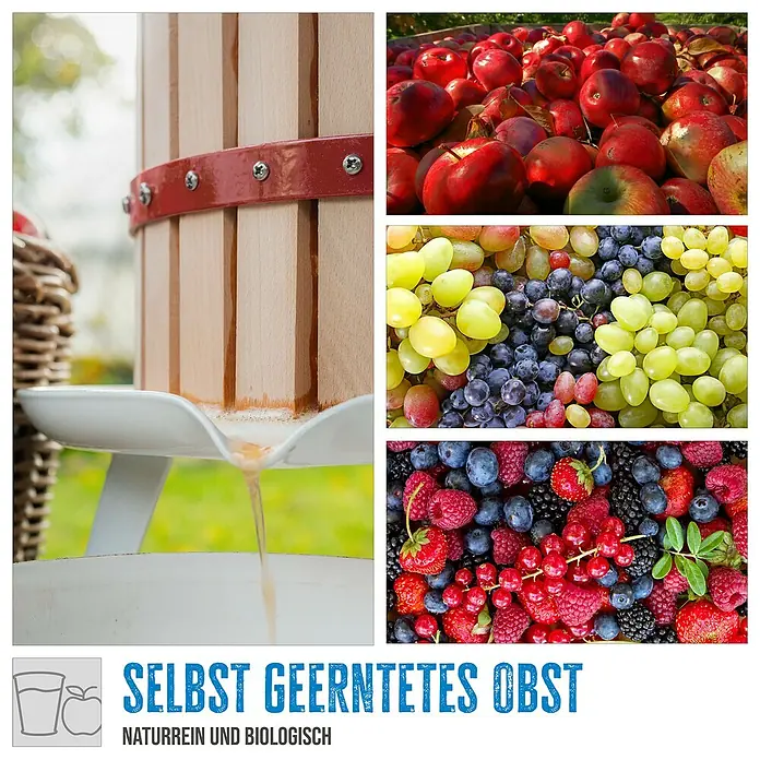 Güde Obstpresse OP 18 - Fassungsvermögen: 18 l - Ein Bild von einer Saftpresse, Äpfeln, Trauben und Beeren, die natürliche und biologische Produkte repräsentieren.