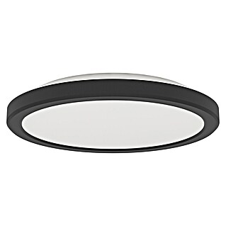 Eglo LED stropna svetilka Testara-E (11,2 W, Ø x V: 21,1 x 3 cm, Črna, Nevtralno bela)