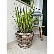 Van der Leeden Drypot Košara za rastline  (Ø x V: 32 x 23 cm, Ratan, Siva) | Lonci za rastline | Cvetlični lonci | Posode za rastline | Vrt in prosti čas | Izdelki | BAUHAUS