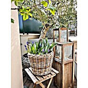 Van der Leeden Drypot Košara za rastline  (Ø x V: 43 x 33 cm, Ratan, Siva) | 8449 - Sonst. Gefäße und Zub.outdoor | IAKB - Gefäße Outdoor | IAK - Gefässe,Deko outdoor, Zeitschriften | IA - Gartenhartware | I - Stadtgarten | BAUHAUS