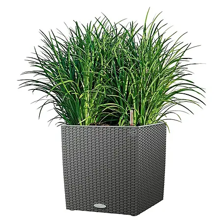 Rattan Blumentopf gnstig kaufen | BAUHAUS