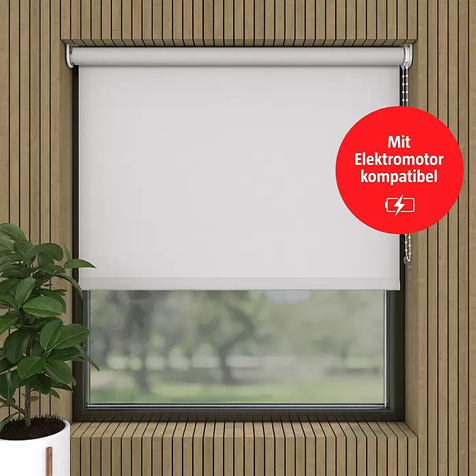Rollo - B x H: 80 x 190 cm, Grau, Tageslichtdurchlässig - Weißes Rollo vor einem Fenster, kompatibel mit Elektromotor.