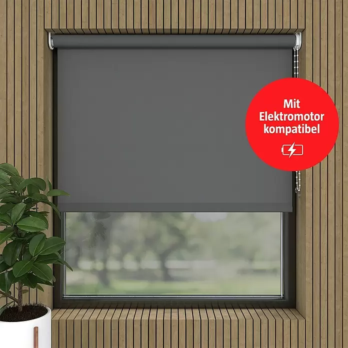 Rollo - B x H: 70 x 190 cm, Anthrazit, Tageslichtdurchlässig - Dunkelgraues Rollo am Fenster, kompatibel mit Elektromotor für automatische Steuerung.
