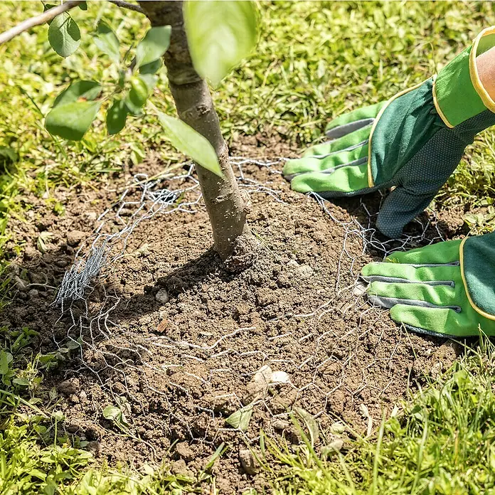 Windhager Wühlmauskorb - Ø x H: 35 x 40 cm - Anbringen von Drahtgeflecht um einen Baum zum Schutz vor Wühlmäusen. Die grünen Handschuhe schützen die Hände bei der Arbeit.