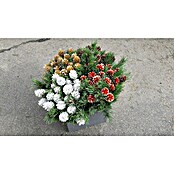 FÖHRENZWEIG GROß MITBOCKERL FARBMIX