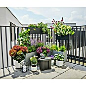 Gardena Upravljački uređaj za navodnjavanje AquaBloom + spremnik za vodu  (Prikladno za: Navodnjavanje vrta) | BAUHAUS