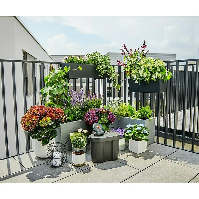 Gardena Kit de riego AquaBloom + depósito de agua - Con energía solar - Un jardín de balcón con el sistema de microgoteo Gardena, que riega automáticamente las plantas para promover un crecimiento saludable.