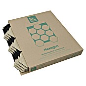 Sonido Akustikpaneel Hexagon (New Light Oak, L x B x S: 760 x 574 x 18 mm, 4 Stk.) | BAUHAUS