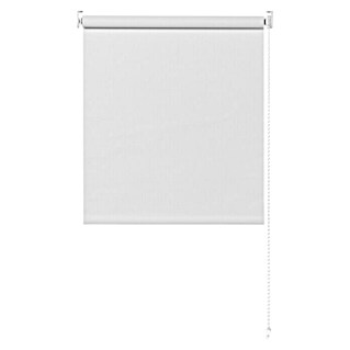Expo Ambiente Rolo zavjesa za zatamnjivanje (Š x V: 120 x 275 cm, Bijele boje, Uni)