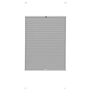 Expo Ambiente Plissee (B x H: 100 x 240 cm, Grau)