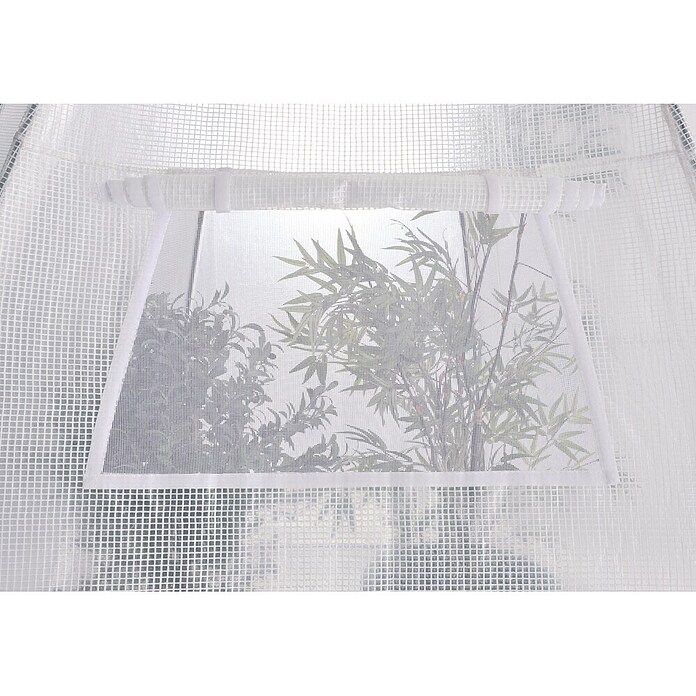 Šator za zaštitu od hladnoće za biljke  (Ø x V: 3,2 x 2,8 m, Debljina folije: 150 g/m²) | BAUHAUS