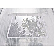 Šator za zaštitu od hladnoće za biljke  (Ø x V: 3,2 x 2,8 m, Debljina folije: 150 g/m²) | BAUHAUS