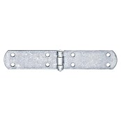 Bisagra perforada (An x Al: 200 x 35 mm, Espesor: 2 mm, Acero inoxidable)