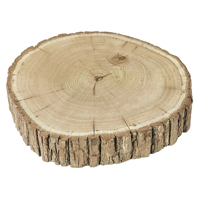 Exclusivholz Baumscheibe - Eiche, Unbehandelt, Durchmesser: 20 cm - 30 cm - Holzscheibe mit sichtbaren Jahresringen und rustikaler Rinde für Dekorationen oder als Untersetzer. Ein Naturprodukt mit einzigartiger Maserung.