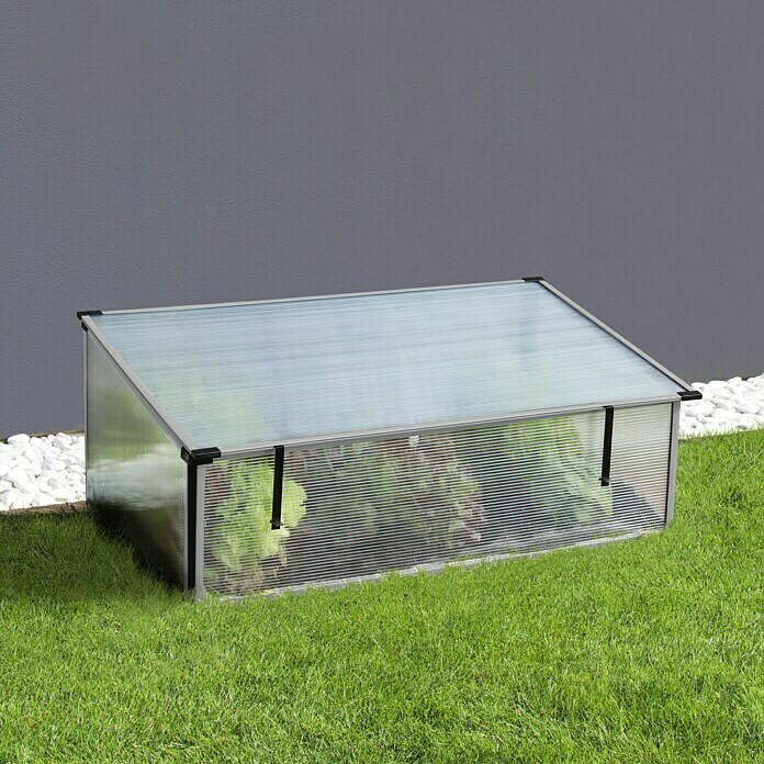 Vitavia Frühbeet Levana 2 Kiesel55 cm x 95 cm x 23 mm, Aluminiumfarben, Polycarbonat Unknown