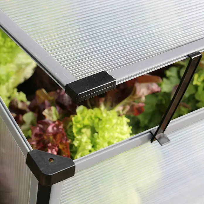 Vitavia Frühbeet Levana 2 Kiesel - 55 cm x 95 cm x 23 mm, Aluminiumfarben, Polycarbonat - Nahaufnahme eines Frühbeets mit Salatpflanzen, das mit einer transparenten Abdeckung und einem stabilen Rahmen ausgestattet ist.