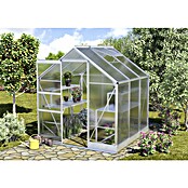 Vitavia Gewächshaus (1,99 x 1,95 x 2,07 m, Farbe: Aluminium, Polycarbonat, 6 mm)