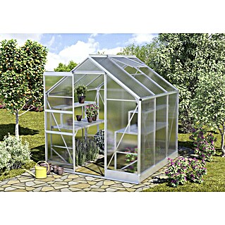 Vitavia Gewächshaus Apollo 3800 Plus (Außenmaß inkl. Dachüberstand (B x T): 195 x 199 cm, 6 mm, Aluminium)
