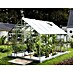 Vitavia Gewächshaus Merkur 9900 Plus 