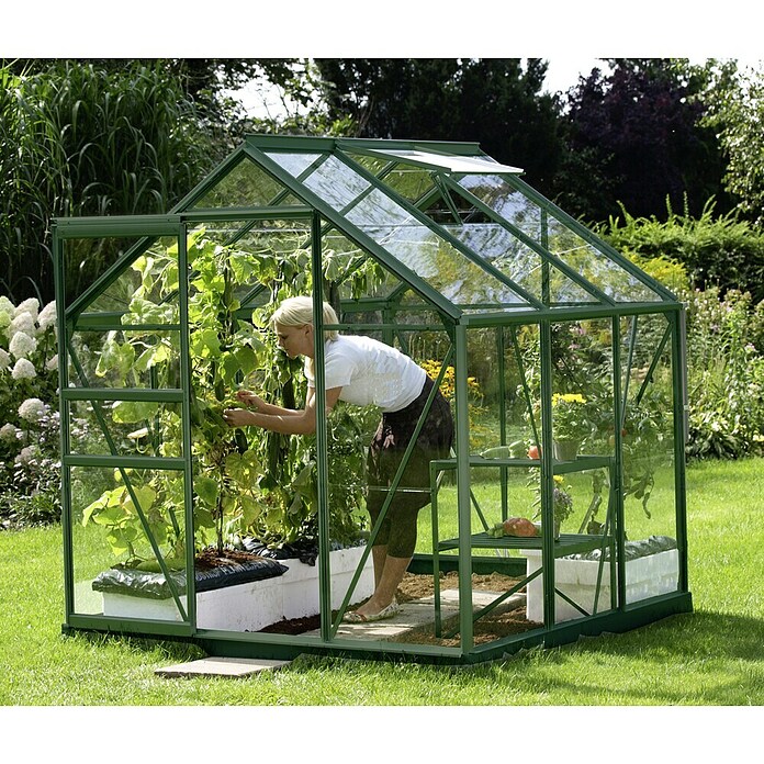 Vitavia Gewächshaus (1,95 x 1,95 x 1,97 m, Farbe: Smaragd, Einscheibensicherheitsglas (ESG), 3 mm)