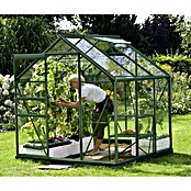 Vitavia Gewächshaus (1,95 x 1,95 x 1,97 m, Farbe: Smaragd, Einscheibensicherheitsglas (ESG), 3 mm)