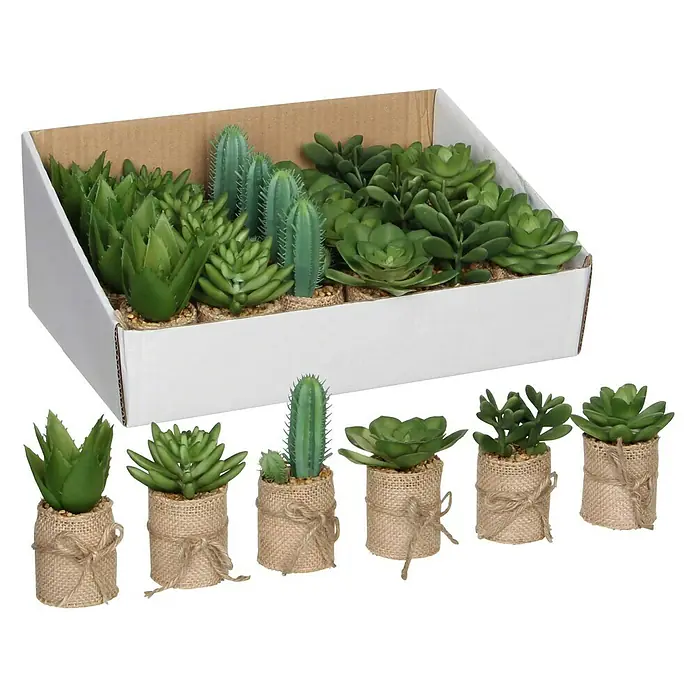 Planta artificial Suculenta en saco - Altura: 12 cm, Verde, Plástico - Surtido de suculentas y cactus artificiales en sacos de arpillera, presentados individualmente y en una caja blanca.