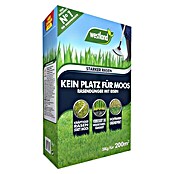 Westland Bio-Rasendünger Kein Platz für Moos (Inhalt: 5 kg, Inhalt ausreichend für ca.: 200 m²)