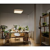 Osram Plafón LED Alicia (24 W, L x An x Al: 39,5 x 39,5 x 6 cm, Marrón, Blanco cálido) | BAUHAUS