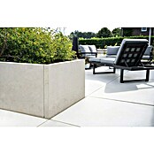Diephaus Hochbeet (210 x 100 x 80 cm, Beton, Grau) | BAUHAUS
