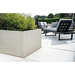 Diephaus Hochbeet (210 x 100 x 80 cm, Beton, Grau)