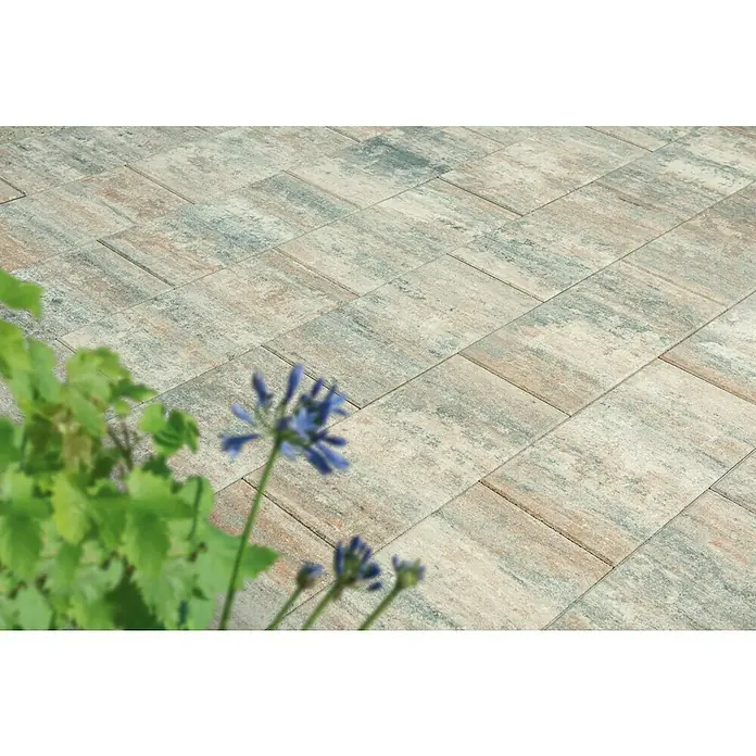 Diephaus Terrassenplatte Vallejo - 60 x 30 x 4 cm, Muschelkalk, Beton - Hier sind Pflastersteine im Außenbereich mit blauen Blumen im Vordergrund zu sehen. Das Muster der Steine erzeugt einen natürlichen Look.
