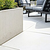Diephaus Hochbeet (210 x 100 x 80 cm, Beton, Grau) | BAUHAUS