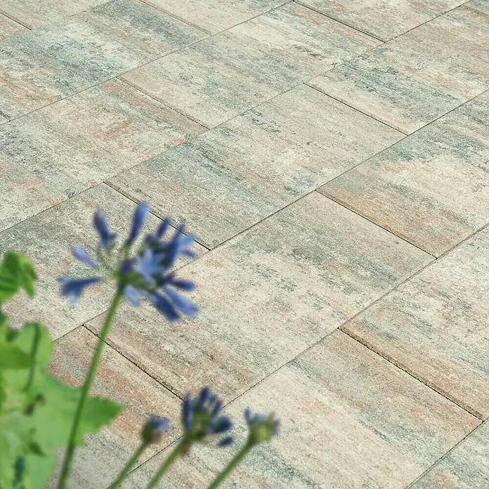 Diephaus Terrassenplatte Vallejo - 60 x 30 x 4 cm, Muschelkalk, Beton - Pflastersteine in Beige-, Grau- und Brauntönen mit verschwommenen blauen Blumen im Vordergrund.